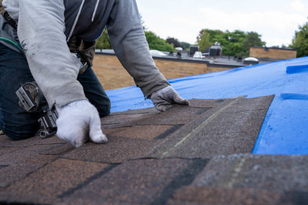 Best Roof Coating and Sealing  in Jensen Beach, FL